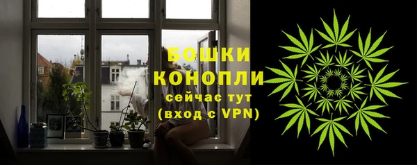 крисы Переславль-Залесский