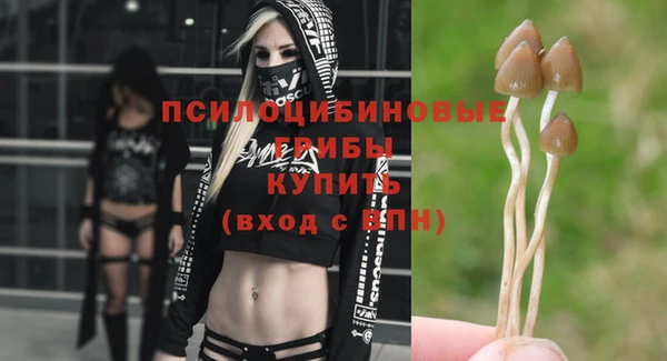 экстази Алексин