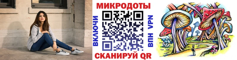 Псилоцибиновые грибы мицелий Сенгилей